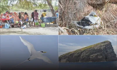 Paille-en-queue : la danse des rubans de soie
