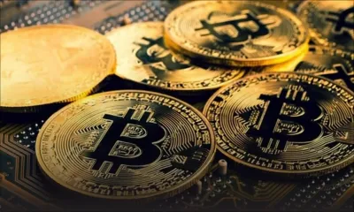 Marché en chute libre - Cryptomonnaie : investir oui mais prudence