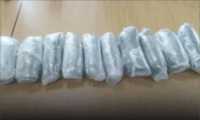 Karo Kalyptus, Roche-Bois : une cache de Rs 59 M de drogue découverte par l’Adsu