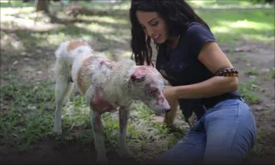 Brûlé vif : une pétition pour rendre justice à Dodo