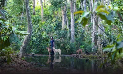 Exposition - La Part de l’Autre : les identités multiples de nos territoires indo-océaniques