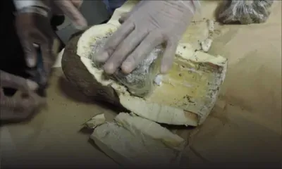 Plaisance : un étudiant nigérian arrêté avec 1,9 kilo de cannabis