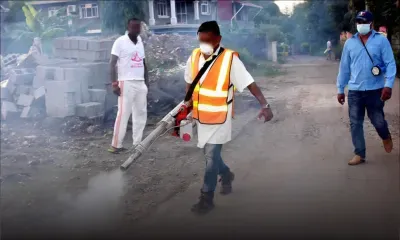 Santé : la dengue gagne du terrain