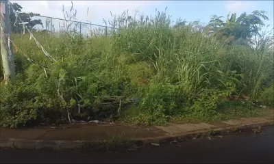 À Calebasses : terrain en friche près de la Cité NHDC