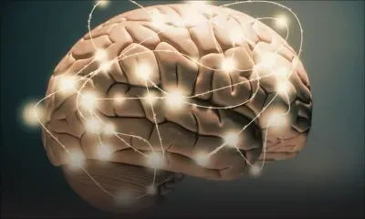 Recherches médicales : la psilocybine, un composant de champignons magiques serait « prometteuse » contre la dépression