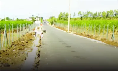 Les habitants de l’Espérance Trébuchet furieux: «Les autorités arrachent nos fleurs cultivées à grands frais»