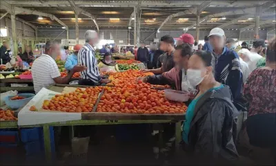 Mercuriale : les prix des légumes restent stables