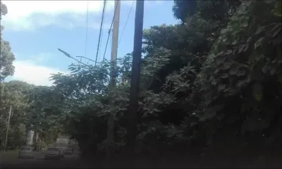 Expansion des réseaux de téléphonie mobile - Le CEB : «Les pylônes de Mauritius Telecom et d’Emtel sont un danger»