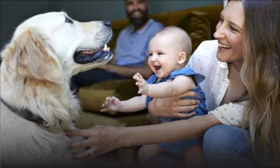 Préparez votre chien à l’arrivée d’un bébé