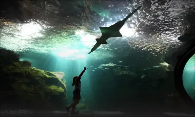 Aquarium de Rs 500 M aux Salines : l’actionnariat sera ouvert au grand public