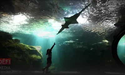 Les Salines : le coût de la construction d’un océanarium à Rs 550 millions