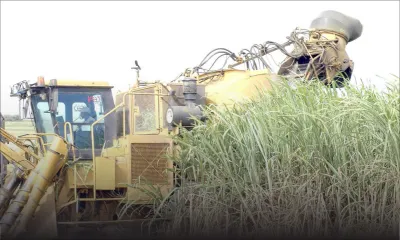 Petites misères du grand public 