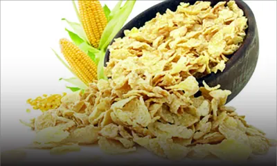 Indice FAO des prix : les céréales en baisse, légère hausse pour les huiles et les produits laitiers