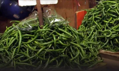 Consommation : ces légumes qui sont toujours chers