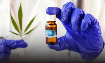 Santé : les trois premiers traitements à base de cannabis ont débuté cette semaine