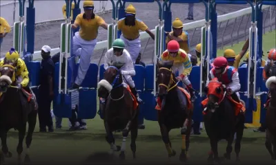 Hippisme : 9 courses au programme de ce samedi