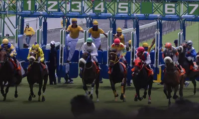 Hippisme : 10 cas de tricherie depuis 2013