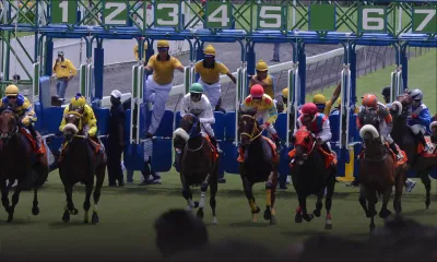 Hippisme : cinq courses annulées à cause des grosses pluies