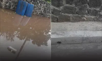 Eau stagnante à la rue Lataniers : le problème enfin résolu !