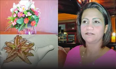 Floralia : a dream that came up roses