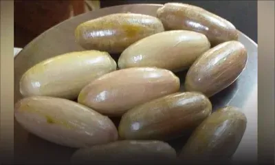 Importation de deux kilos d’héroïne : l’usage de multiples mules décrypté