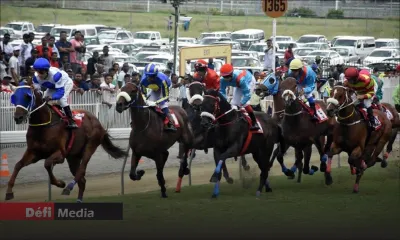 Hippisme : la réunion entre MTCSL et la direction du MTC renvoyée