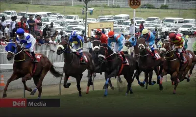 Hippisme  : clap de fin pour la Horse Racing Division… Enter la Horse Racing Authority ?