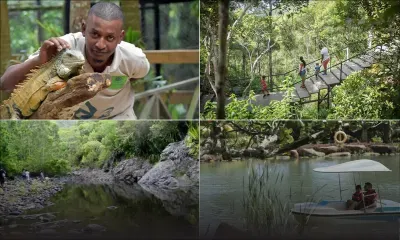 Découvrez les parcs naturels, d’attractions et de loisirs