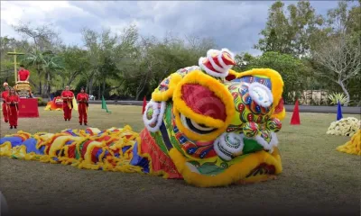 Maululu : Maurice a le plus grand costume de lion en Afrique