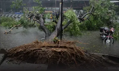 Au moins 10 morts au passage d'un cyclone dans le sud de l'Inde