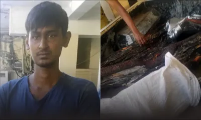 À Pailles : la police sur la piste d’un réseau de trafiquants de bois de santal