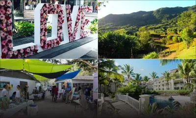 Découvrez les bons plans du week-end (15 - 16 février)