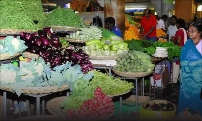 La pénurie de légumes persiste