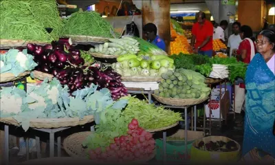 Des légumes à gogo en hiver