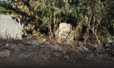 Au morcellement Swan: dumping sauvage sur un terrain à Pereybère