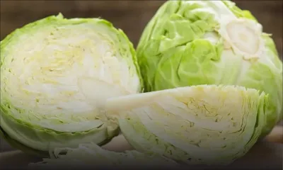 Belle-Rive : vol de 100 choux dans une plantation