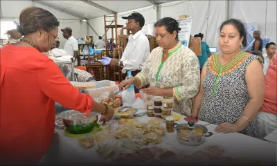 SME Mauritius : un bilan contesté