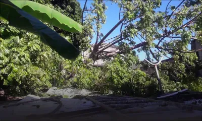 Les pompiers à la rescousse : un arbre s’effondre sur sa maison