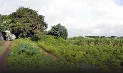 Dans le Nord : une bonne agressée sexuellement par un homme masqué