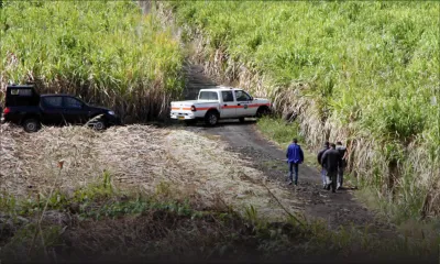 Dans une école de l’Est : tentative d’empoisonnement sur un instituteur