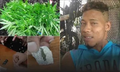 À Camp-Ti-Rodrigues : du gandia, de l’héroïne et de la drogue synthétique saisis chez un récidiviste