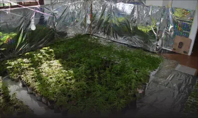 Fuite d’un présumé trafiquant vers Madagascar : un passeport biométrique aurait permis de confondre Vishakam Cunee