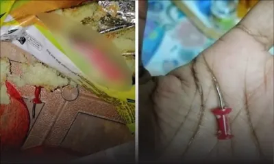 Consommation : un enfant tombe sur une punaise à papier dans un gâteau