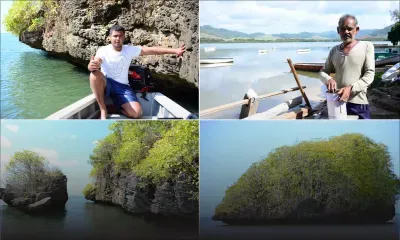 À Vieux-Grand-Port : l’un des plus jeunes charpentiers de marine 