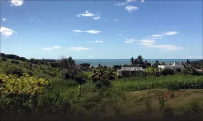 Impact de la marée noire : le risque de la dévalorisation immobilière plane sur le Sud-Est