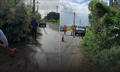 Un laboureur porte plainte contre la RDA pour destruction de fataks 