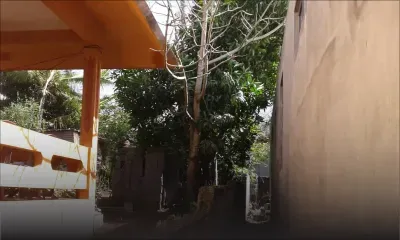 Problème de voisinage : les branches de la discorde…