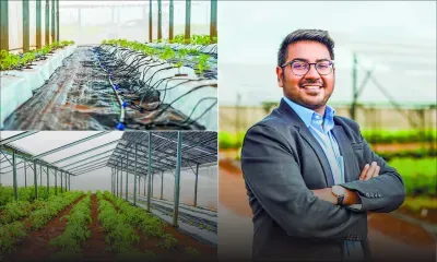 Chetan Jankee : l’ingénieur mauricien qui marie la terre et le soleil