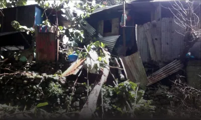 Protection de l’environnement: 300 000 arbres seront plantés