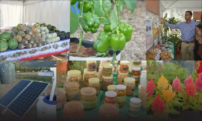 Salon de l’Agriculture : deux jours pour faire de bonnes affaires